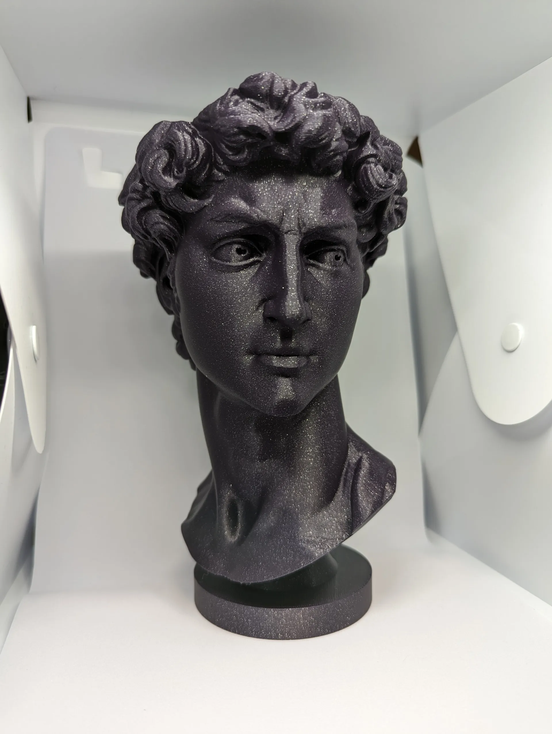 David Bust Planter | Michelangelo Sculpture Vase | 3D Printed Renaissance Art Decor | Elegant Indoor Planter