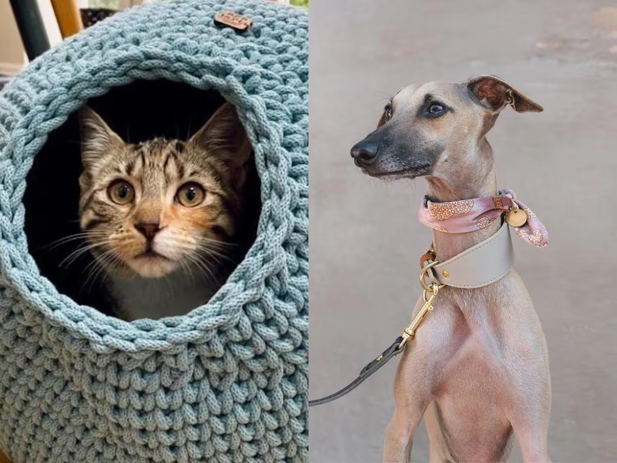 15 adorable gifts for new pets and their parents