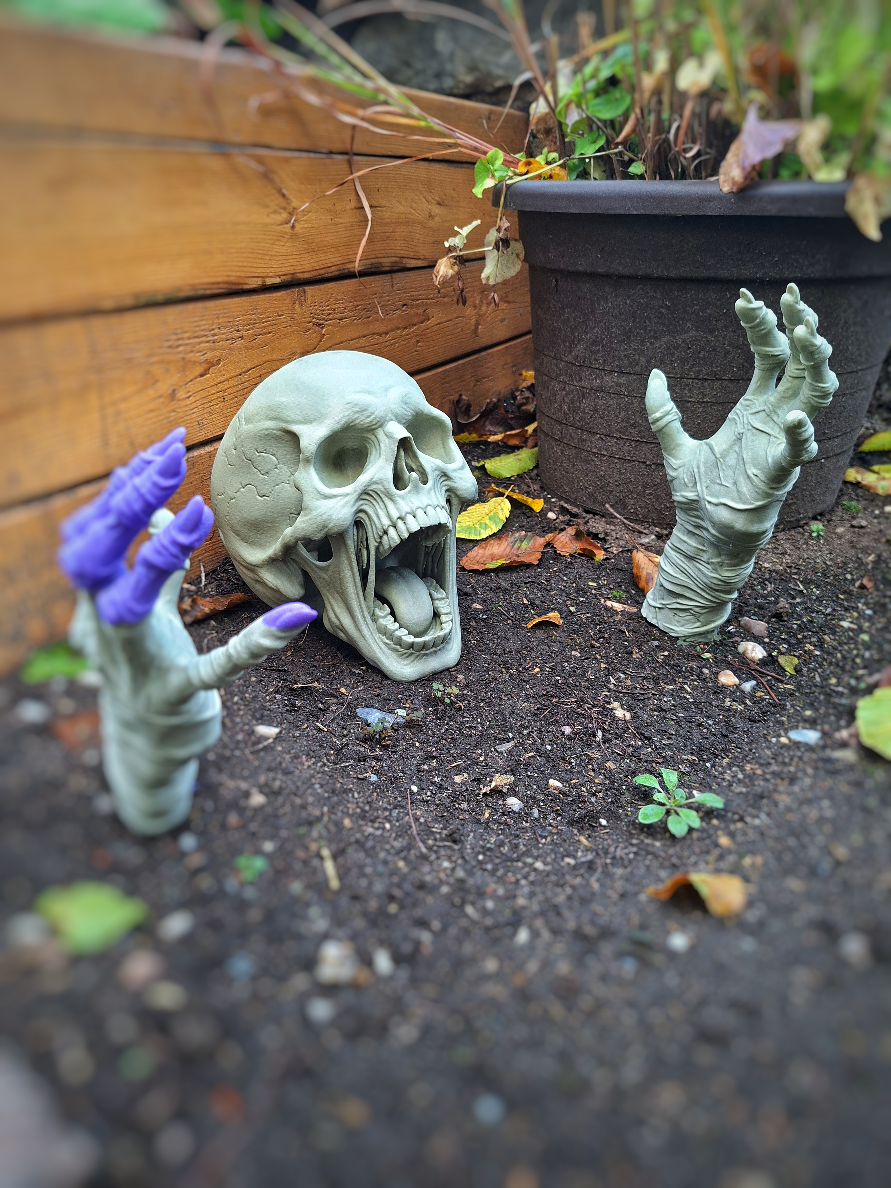 Halloween Skull with mummified hands