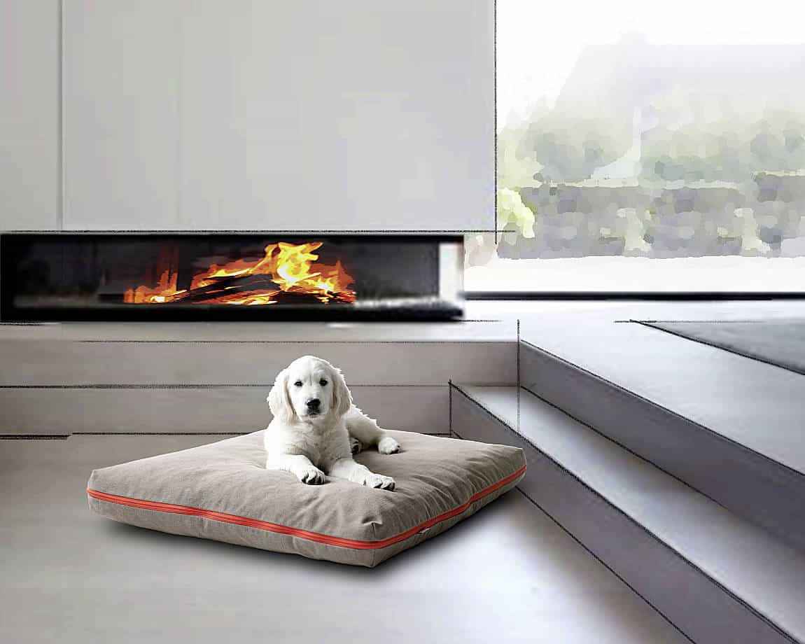 Pet Furniture