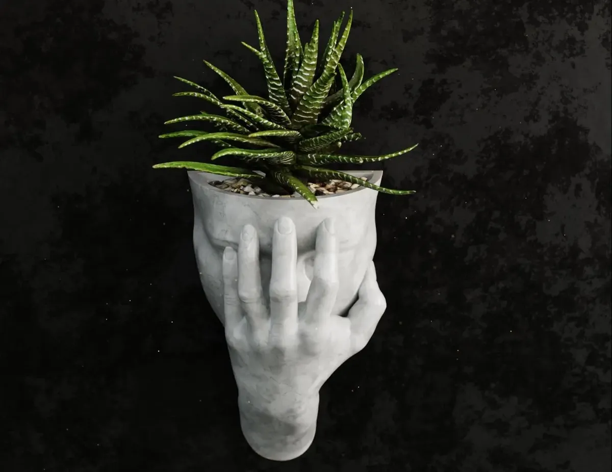 Secret Face Wall Planter  Unique Modern Decorative Pot